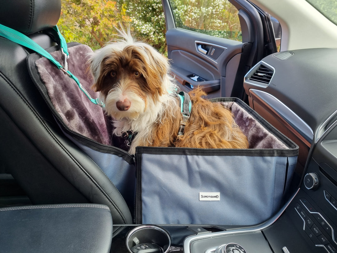 Car Headrest Safety Lead