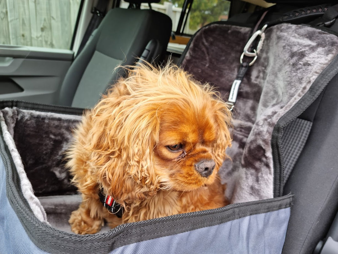 Single Seat Protector and Car Headrest Lead Bundle