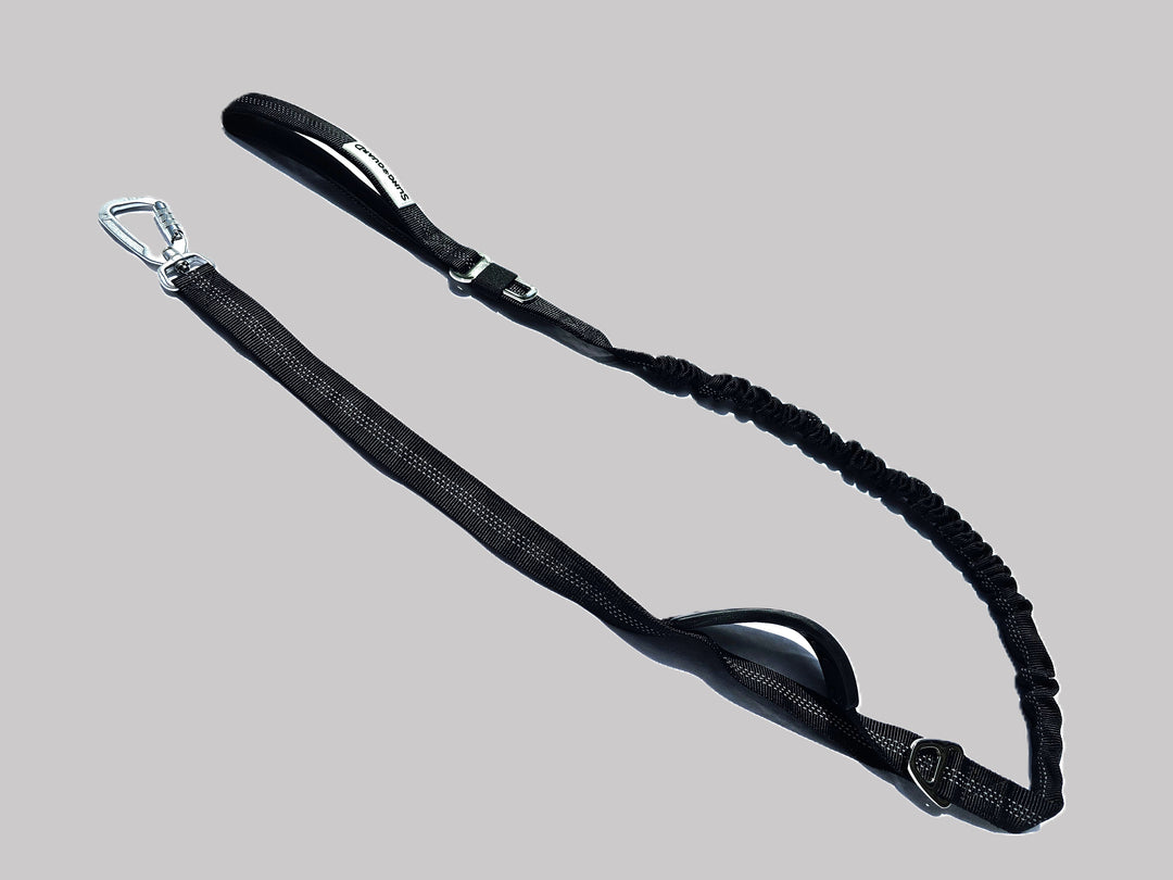 2 in 1 Car Lead and Walking Leash