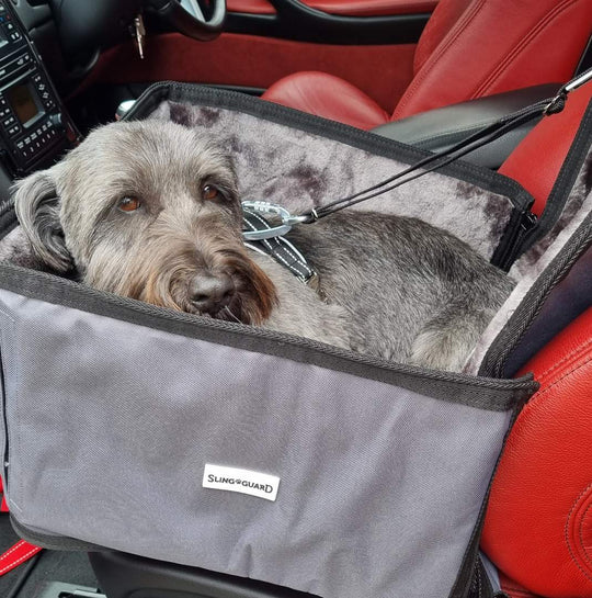 Single Seat Protector and Car Headrest Lead Bundle