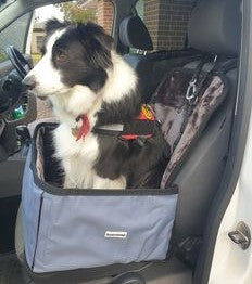 Single Seat Protector and Car Headrest Lead Bundle