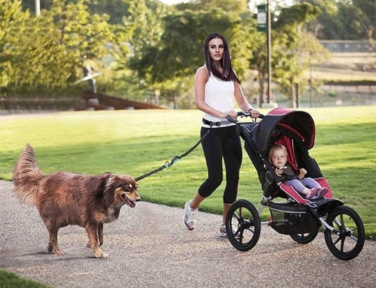 Hands Free Walking/Running Leash