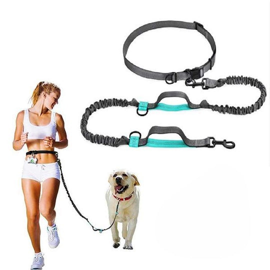 Hands Free Walking/Running Leash