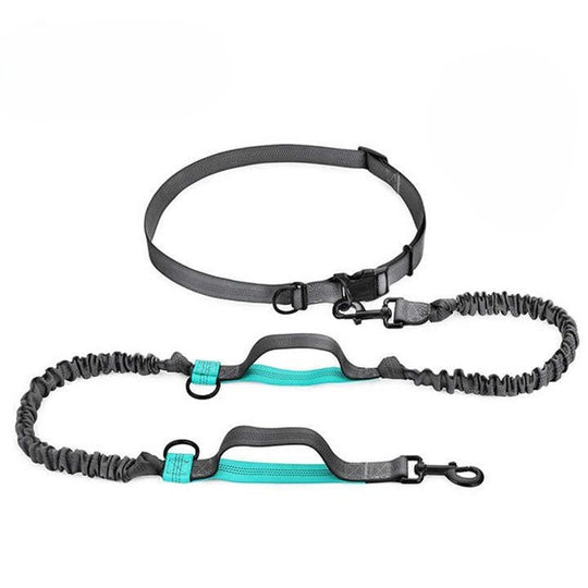 Hands Free Walking/Running Leash