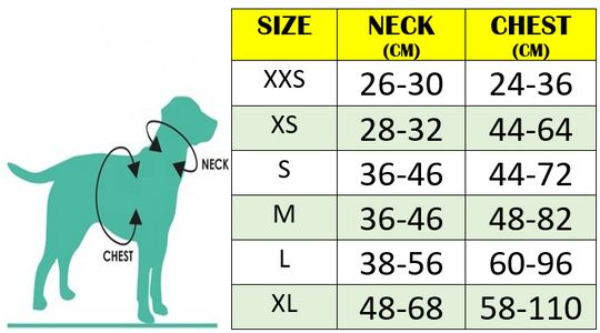 SIZING AID