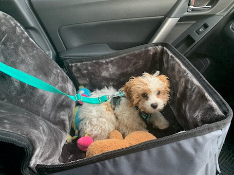 I CAN EVEN FIT MY TOYS IN WITH ME!