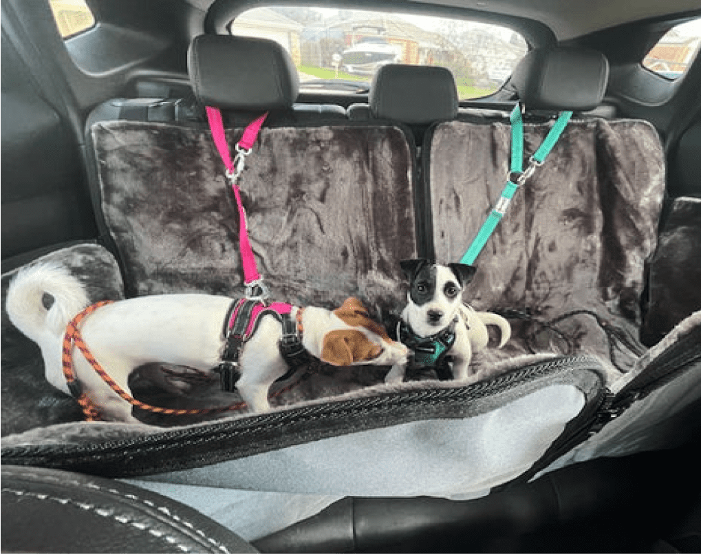 2in1 Adjustable Short Walking Leash and Car Headrest Lead