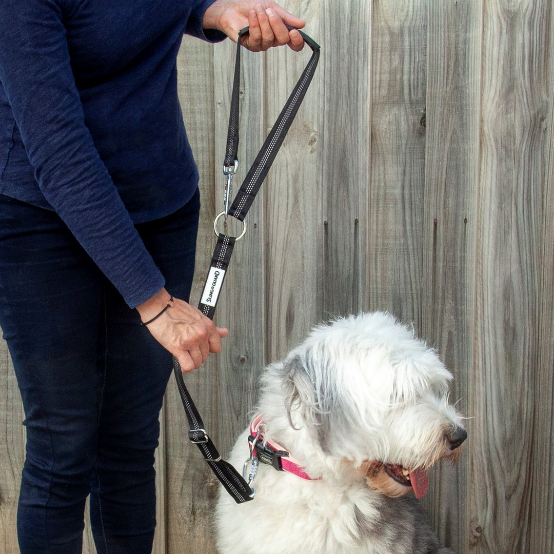 2in1 Adjustable Short Walking Leash and Car Headrest Lead