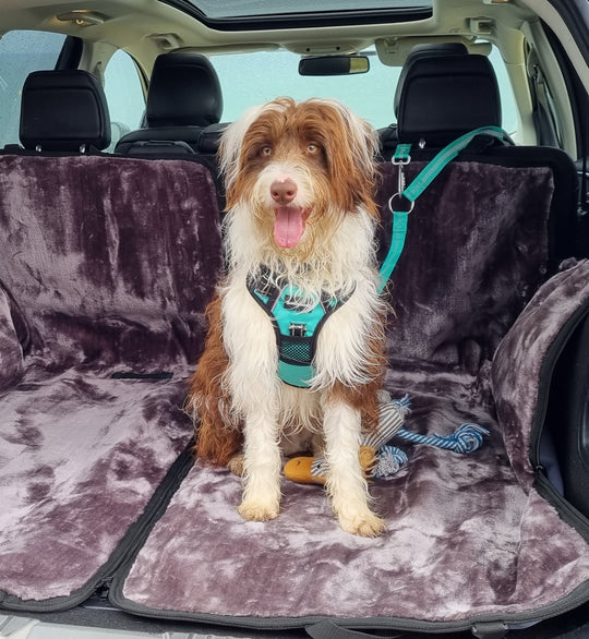 Car Headrest Safety Lead